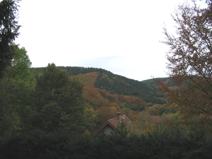 Hürtgen Forest with a house in the middle