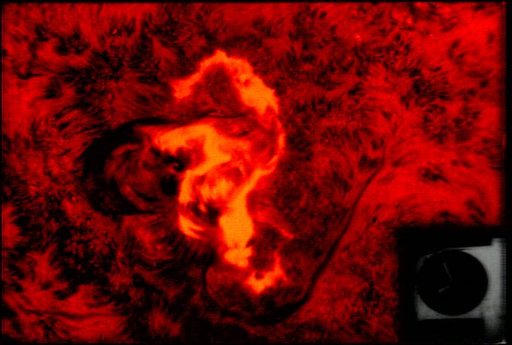 "Seahorse flare" on the surface of the Sun