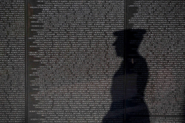 Shadow of a Joint Services Honor Guard on the Vietnam Veterans Memorial