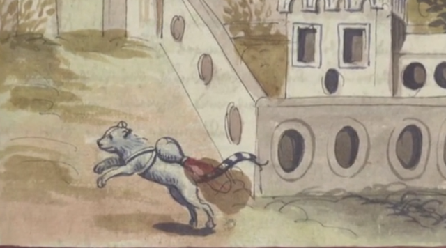 Illustration of a "rocket cat"
