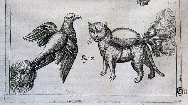 Illustration of a dove and cat with incendiaries tied to their backs