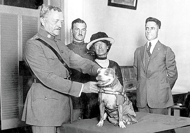 John J. Pershing and three others standing around Sergeant Stubby