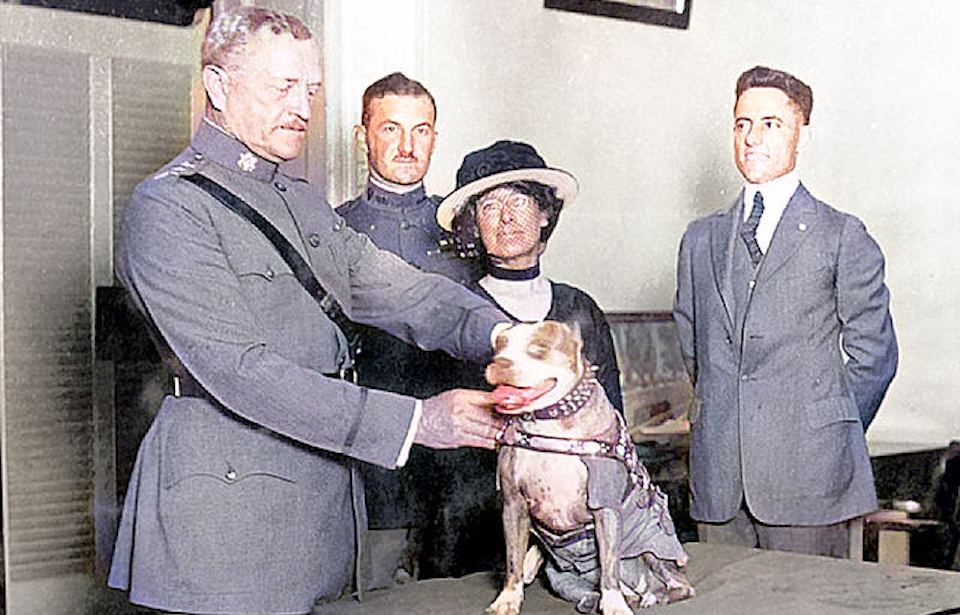 General John J. Pershing awarding Sergeant Stubby a medal