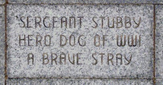 Brick reading: "Sergeant Stubby, Hero dogs of WWI, A brave stray"