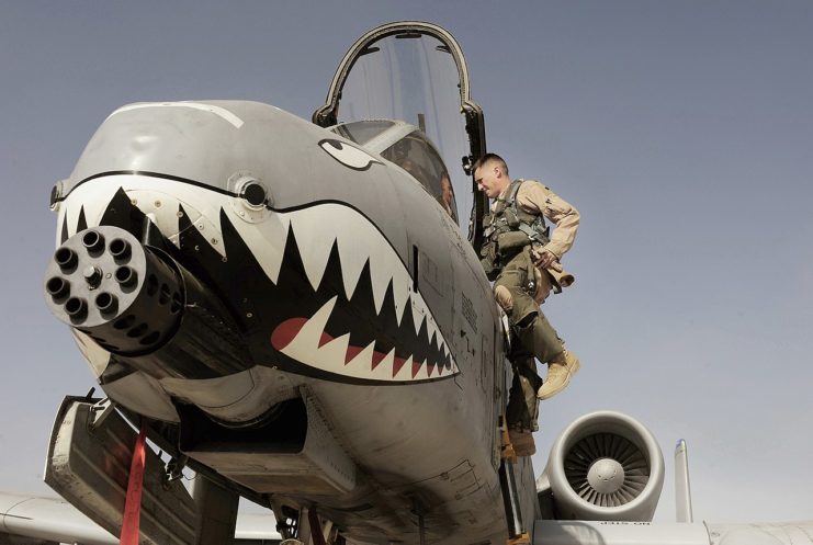 A-10 Thunderbolt Nose Art