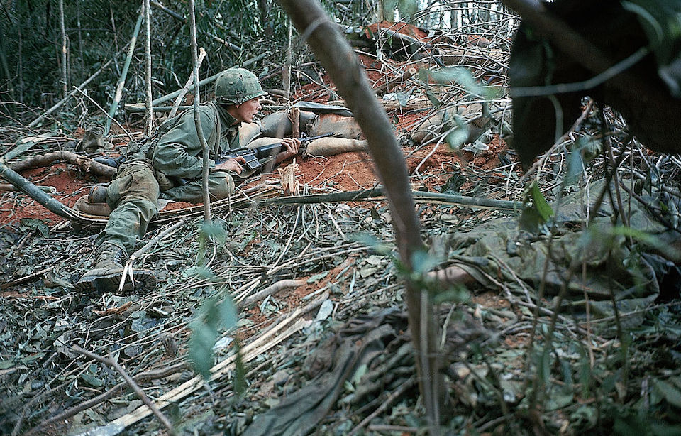 Troop lying down on the jungle floor