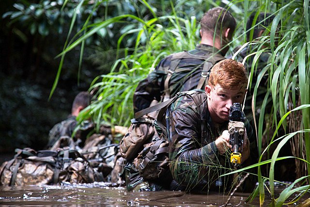 Soldier holding a rifle while standing in water