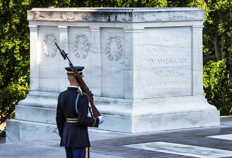 Sentinel guarding the Tomb of the Unknown Soldier