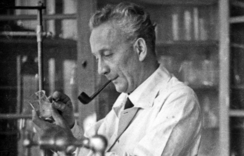 Undated photo of Albert Szent-György in the lab