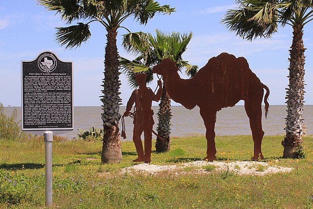 Historical marker dedicated to the US Camel Corps