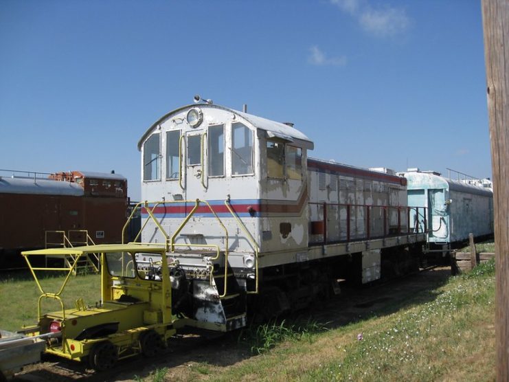 White train parked on grass
