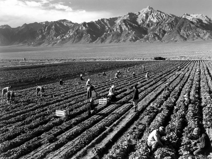 Aerial view of farmers working in a field