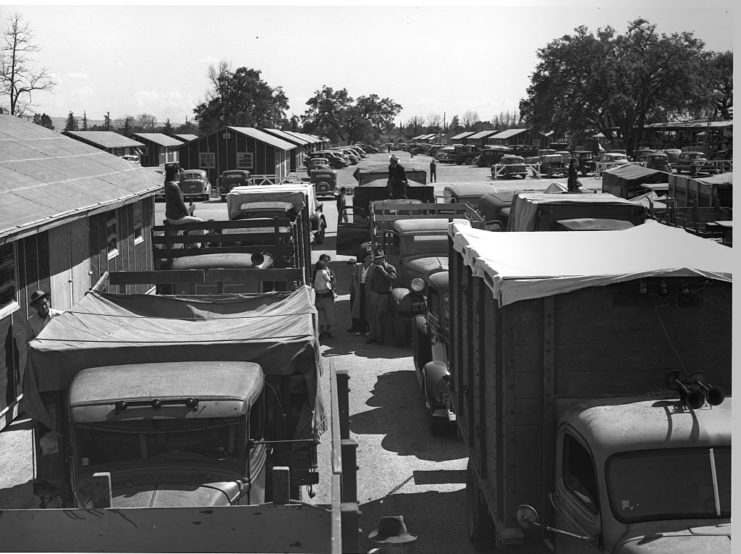 Aerial view of rows of cars