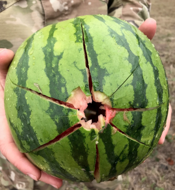 Watermelon with a hole through the middle