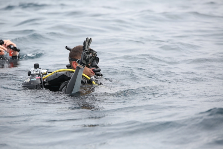 Diver holding up an "OK" signal while in the water