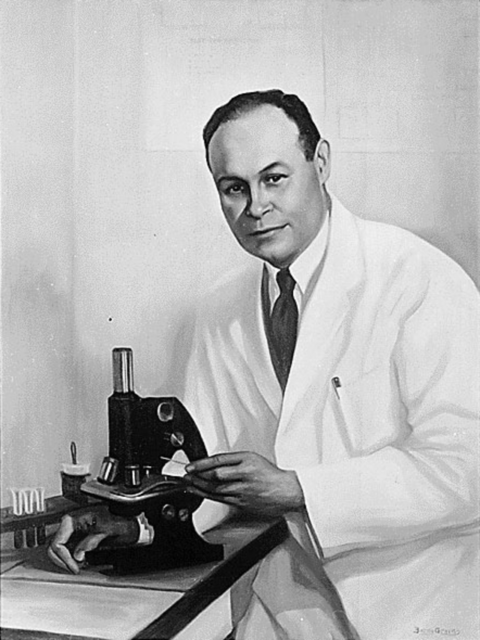 Painting of Charles R. Drew standing with a microscope