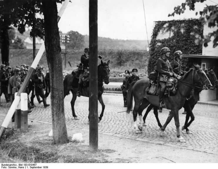 German Horses In 1939