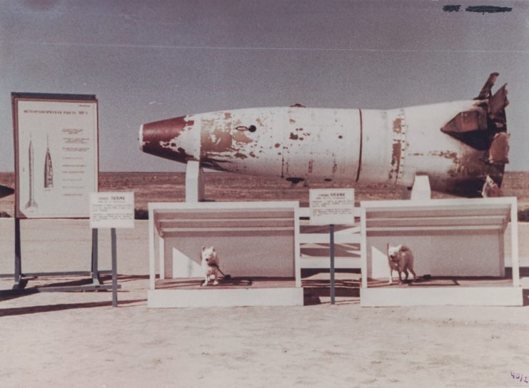 R-2A rocket atop two dog kennels