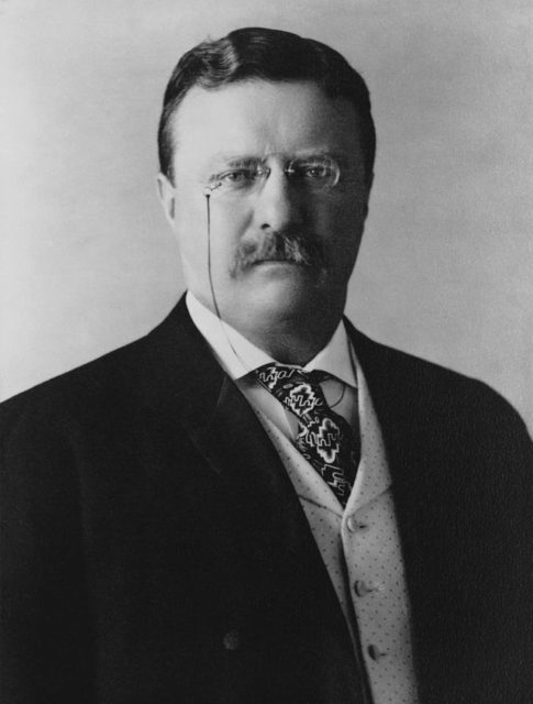 Portrait of Theodore Roosevelt