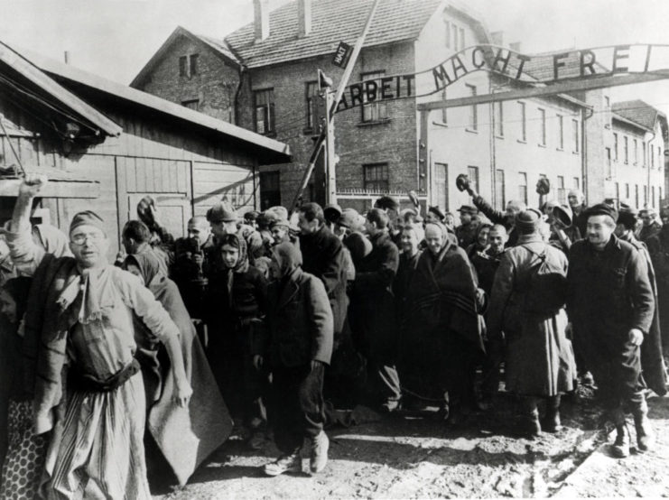 Auschwitz survivors walking through its front gates after their liberation