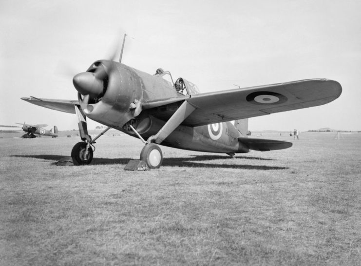 A Brewster Buffalo prepares for takeoff during WW2