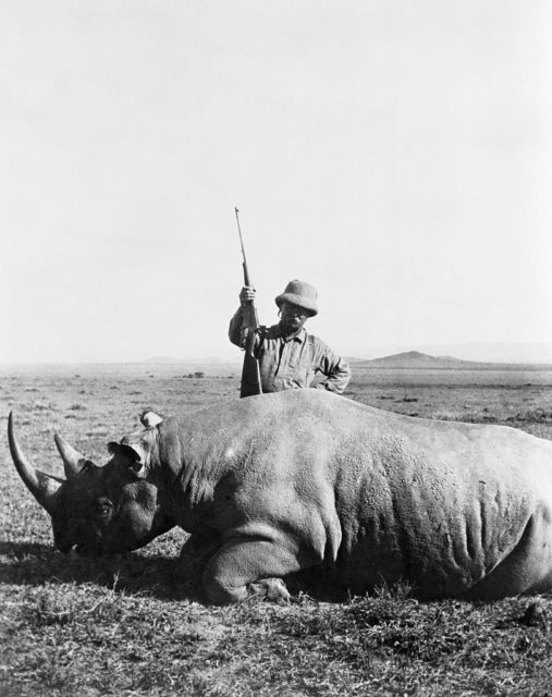 Teddy Roosevelt stands over a dead rhino