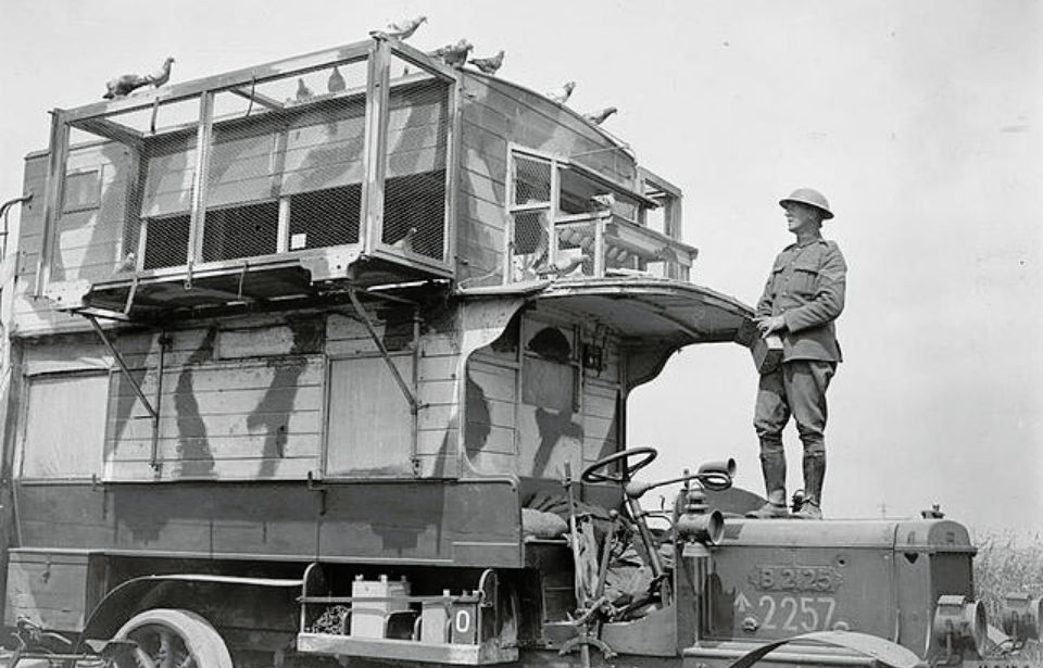 British soldier standing atop a Type-B Bus "Pigeon Loft"