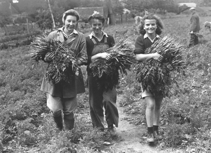 Three girls carrying armfuls of carrots