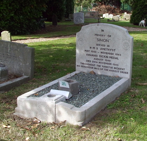 Simon the ship cat's grave