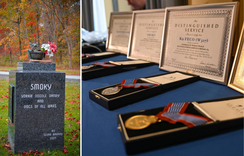 Monument dedicated to Smoky and "Dogs of All Wars" + Animals in War & Peace Distinguished Service Medals displayed on a table