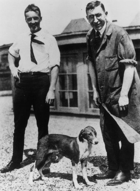 Charles Best and Frederick Banting with one of the first diabetic dogs to be treated with insulin
