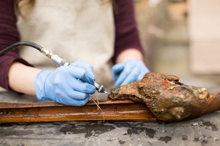 Conservator cleaning a British Brown Bess musket