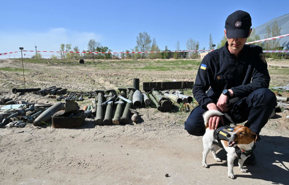 Myhailo Iliev petting Patron, the bomb-sniffing dog