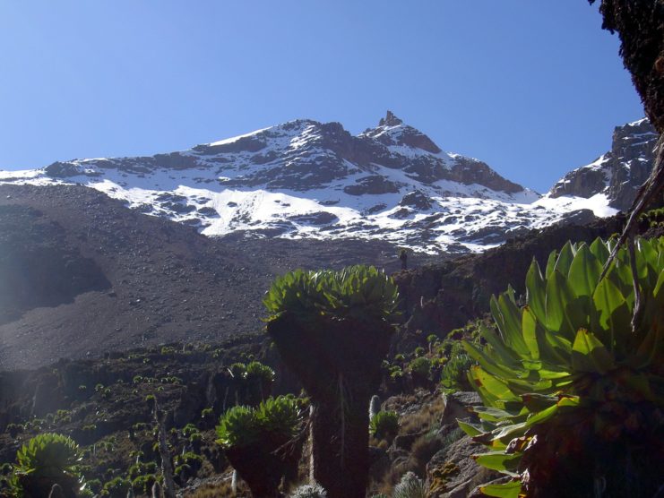 View of Point Lenana