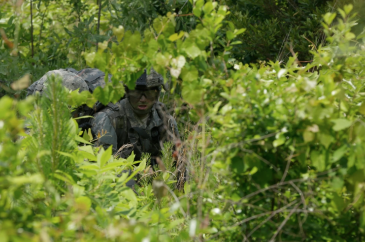 US Army soldiers in tall foliage