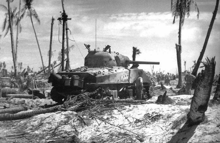 M4 Sherman in the middle of broken trees