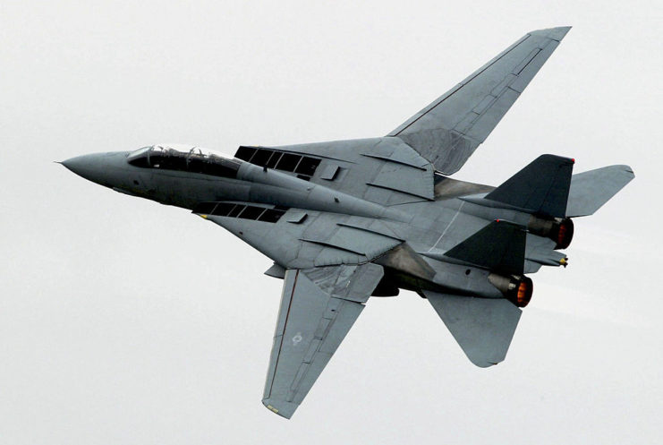 Grumman F-14 Tomcat in flight