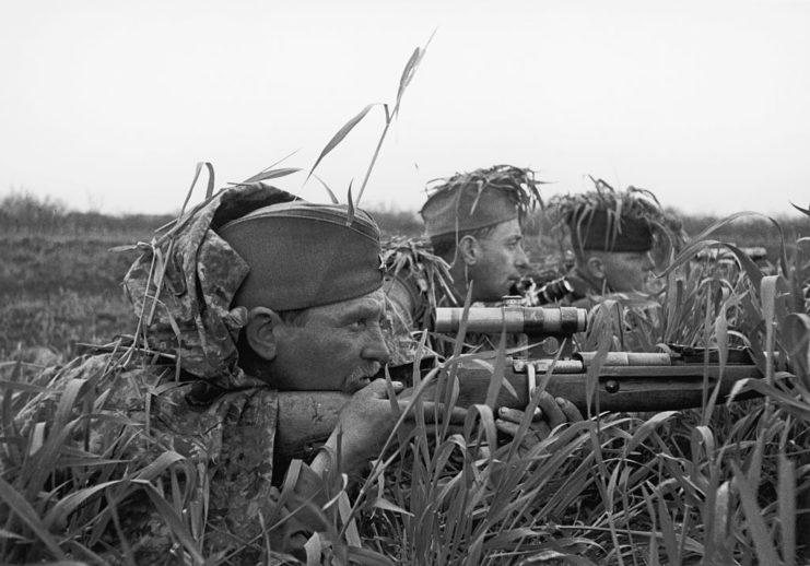 Black and white photo of three men lying down with riffles in tall grass with grass sticking out of their hats