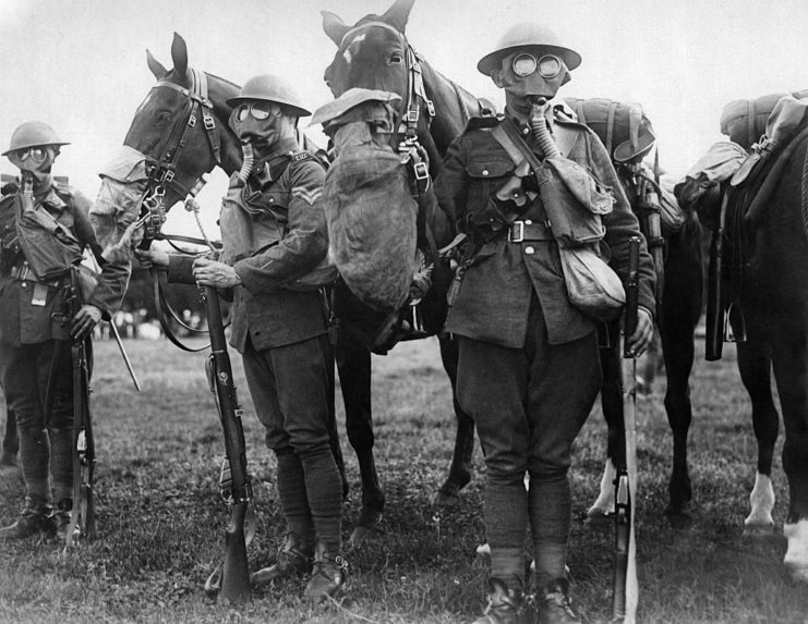 British soldiers and horses wearing gas masks