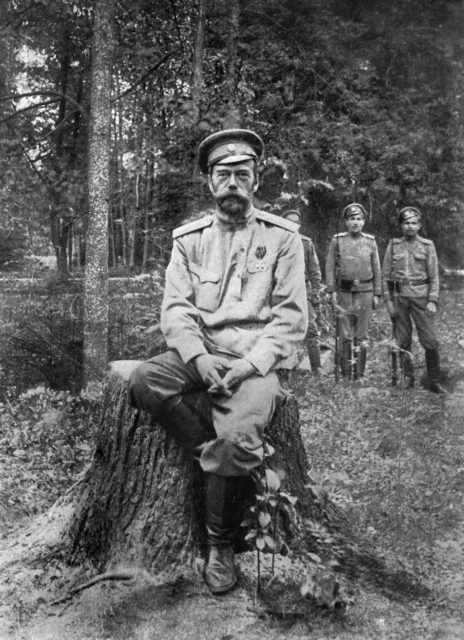 Tsar Nicholas II sitting on a tree stump