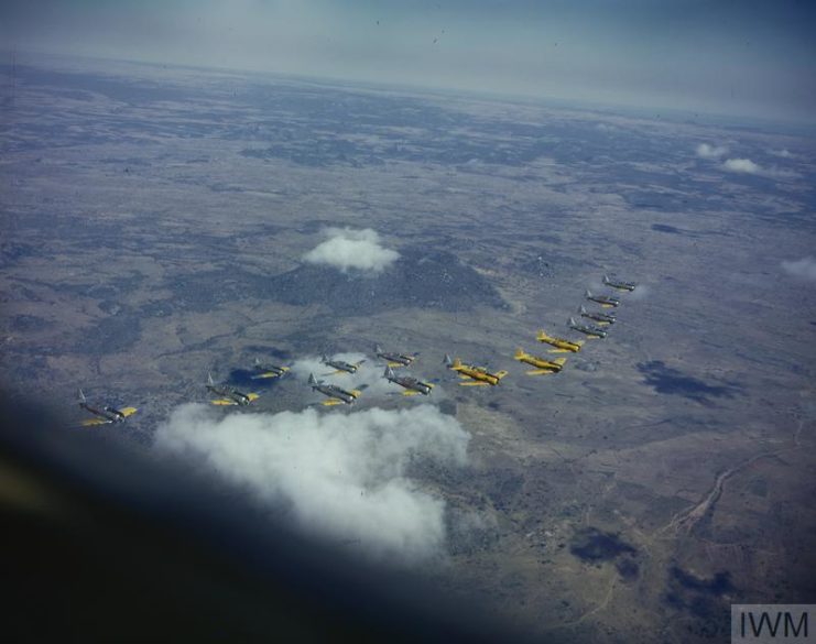 North American Harvard IIs in flight