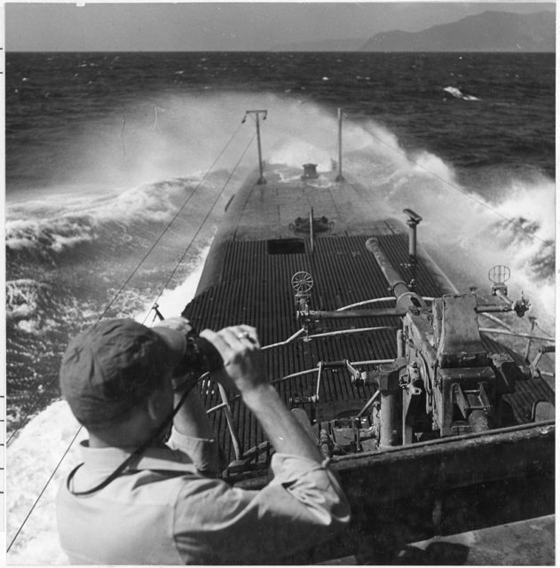 US Navy officer looking through binoculars while on the deck of the USS Batfish (SS-310)