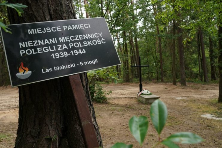 Placard attached to a tree in the Białuty Forest