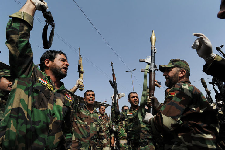 Troops holding their weapons in the air