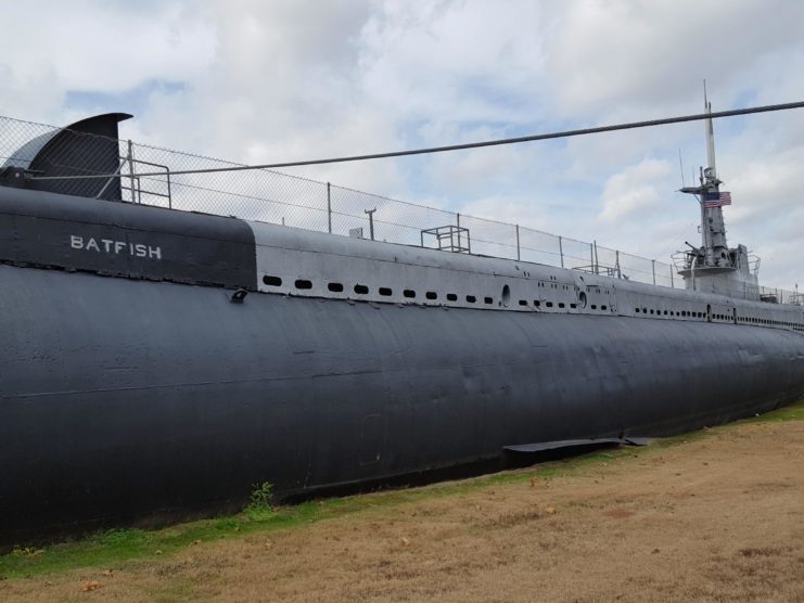 USS Batfish (SS-310) in a field