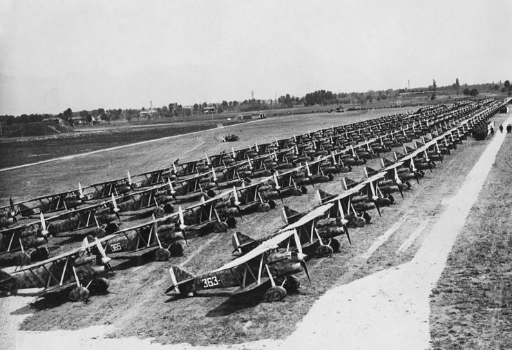 Rows of Fiat CR.32 biplanes parked on grass