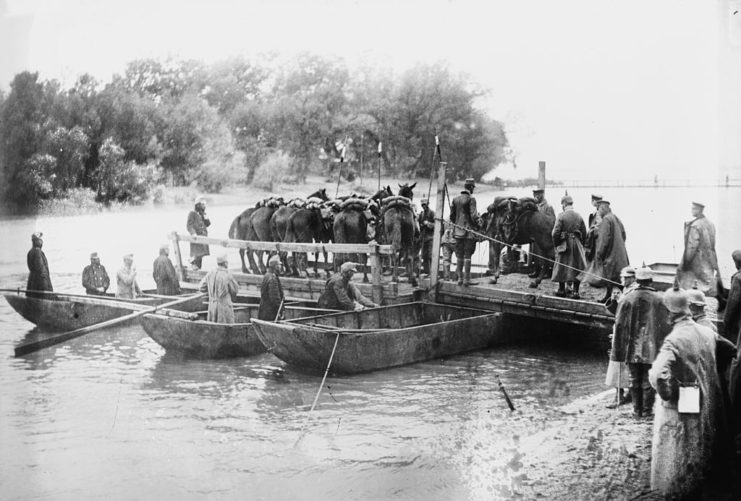 Boats parked side-by-side to create a bridge for horses to cross