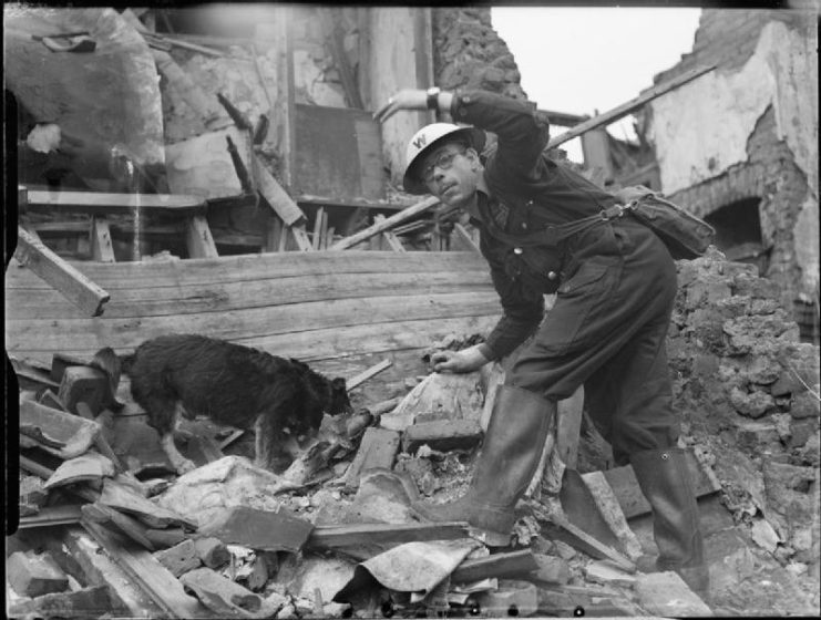 E. King and Rip searching through rubble