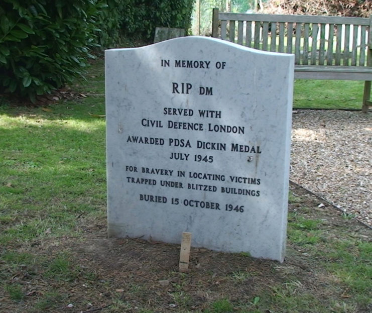 Rip's grave stone