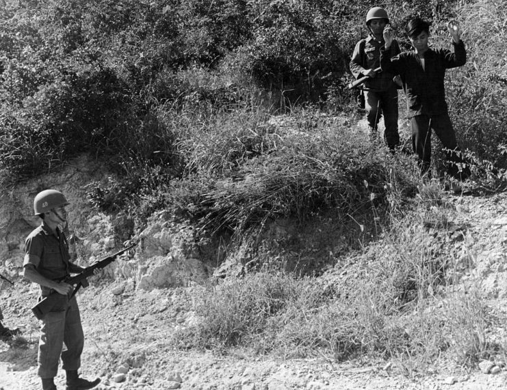 Viet Cong guerrilla surrendering to two South Vietnamese troops along a hill